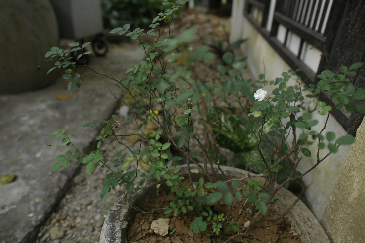 Thuy Bieu Homestay Хюэ Экстерьер фото